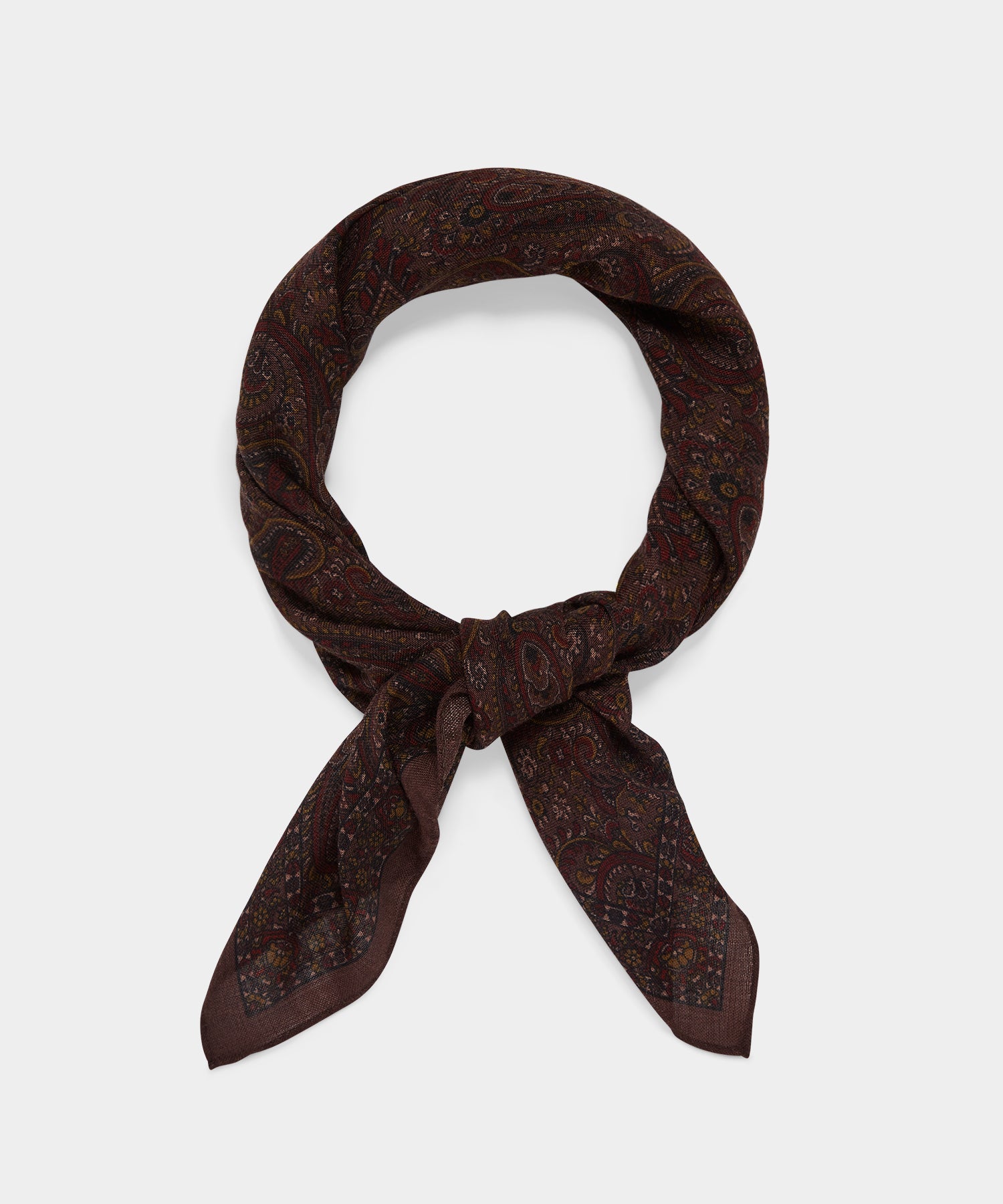 AC1614368_RAISIN_2_R