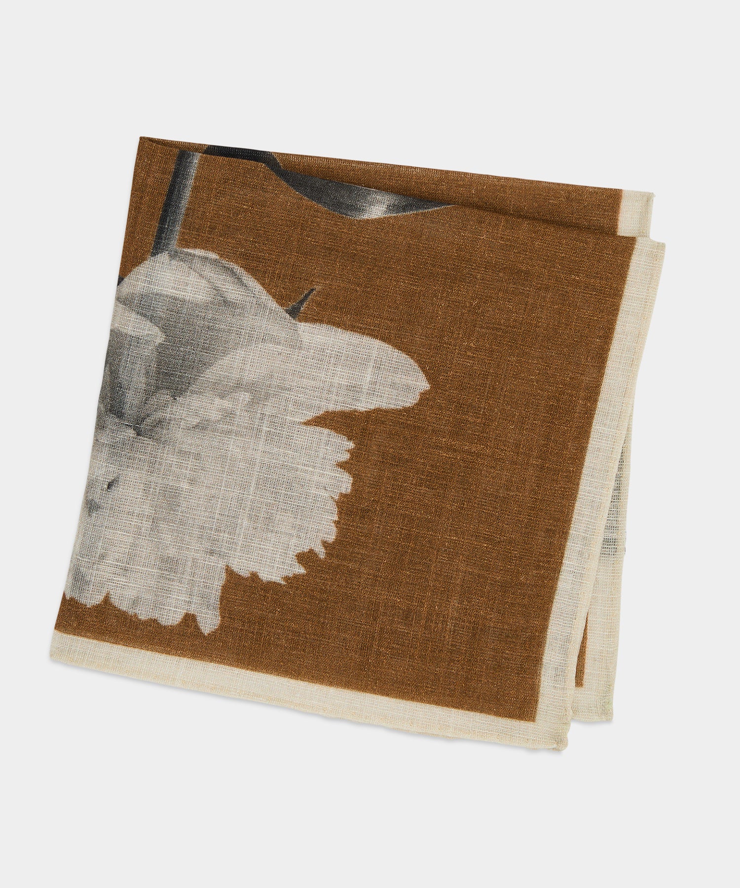 AC305566_BROWN_1_R-2