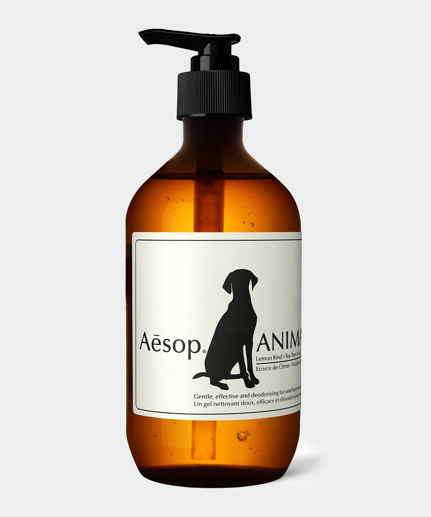 aesop-animalaesop-828709